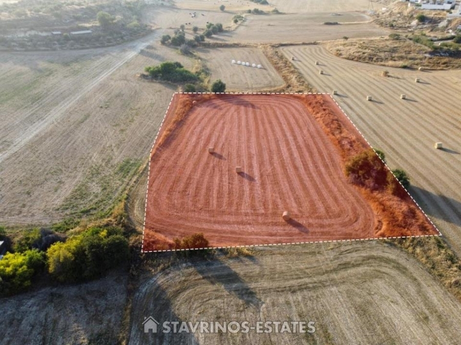 (Προς Πώληση) Αξιοποιήσιμη Γη Κτήμα || Λάρνακα/Τερσεφάνου - 5.017 τ.μ, 80.000€ 