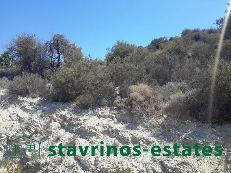 (Προς Πώληση) Αξιοποιήσιμη Γη Αγροτεμάχιο || Λάρνακα/Σκαρίνου - 8.100 τ.μ, 80.000€ 